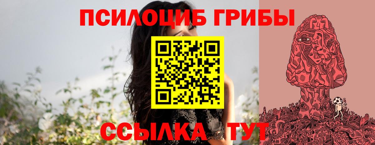 Шебекино  Галлюциногенные грибы Magic Shrooms  как найти закладки  Вход с VPN  Псилоцибиновые грибы мухоморы 